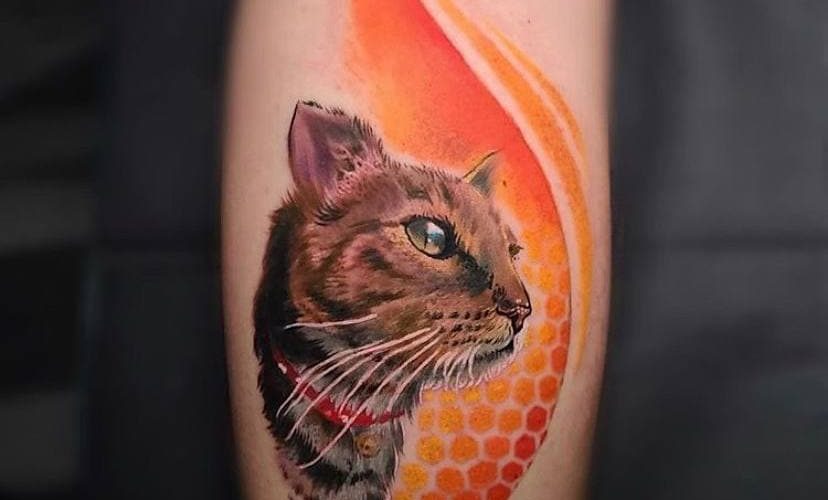 190 Best Cat Memorial Tattoo Ideas  tattoos memorial tattoos cool tattoos