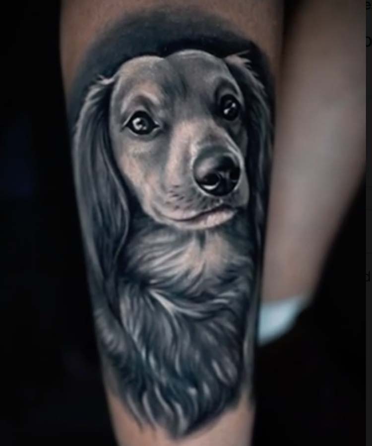 242 Greyhound Tattoo Images Stock Photos  Vectors  Shutterstock